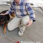 Сергей, 54 года